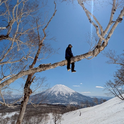 Lisato 