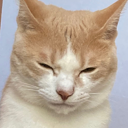 ゆち