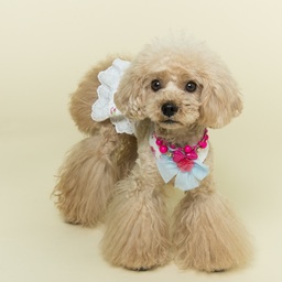 cherie coco