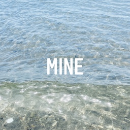 mine-2021