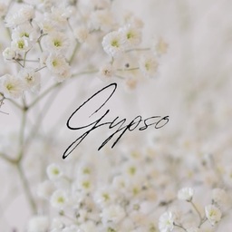 gypso