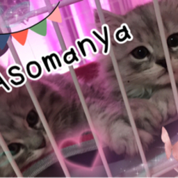 asomanya24