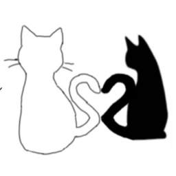 catshop13