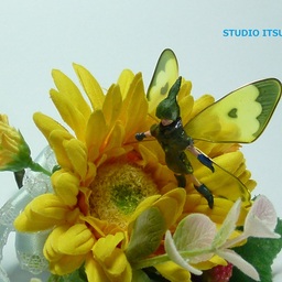 STUDIO-いつ穂