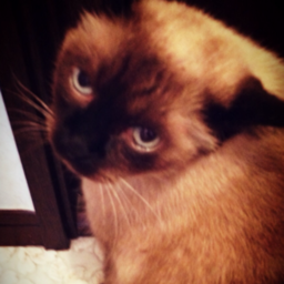 yuki＊