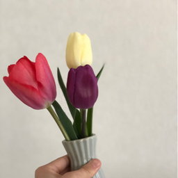 たんさんすい