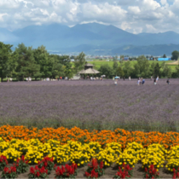 rerahokkaido