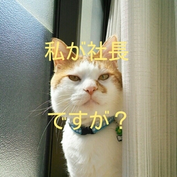 まろこ
