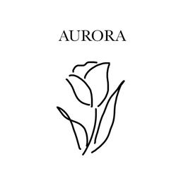 aurora9608