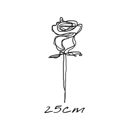 25cm