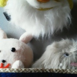 chiku♪chick