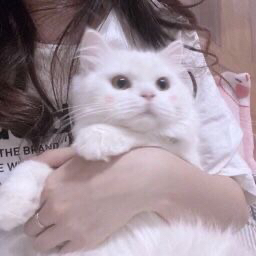 coconail-nya