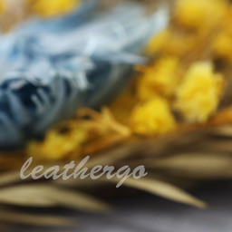 leathergo