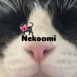 猫の編み物🐈‍⬛🎀