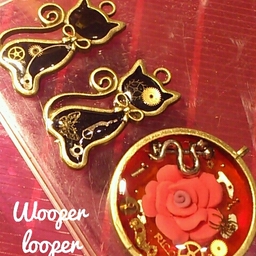 wooperlooper