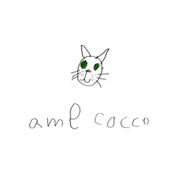 ame cocco