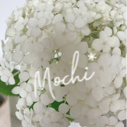 MOCHI*