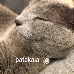 patakala