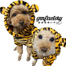 gmfactory_wan