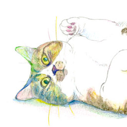 ツチノコノネコ
