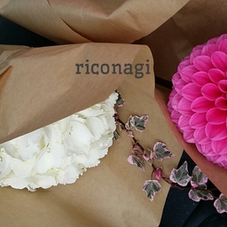 riconagi7115