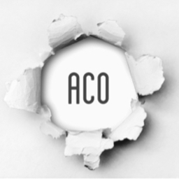 aco2022