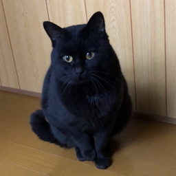 おおやファーム