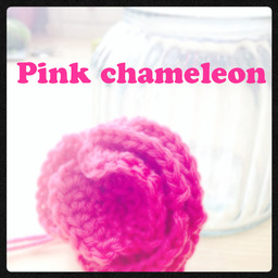 Pink_chameleon