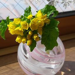 野の花