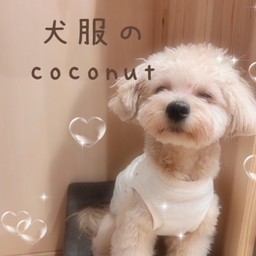 犬服のcoconut