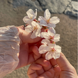 pina