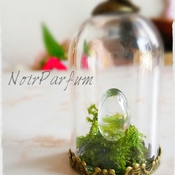 NoirParfum