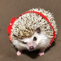 はりやま家
