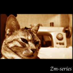 Zm-series／No.c