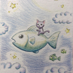 ✩moyo✩ 
