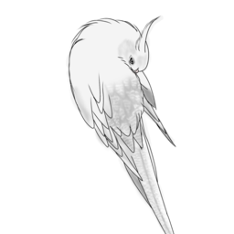 mikoto