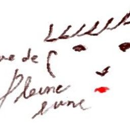Rue de pleine lune