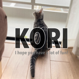 kori1216