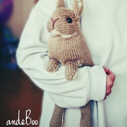 andeBoo