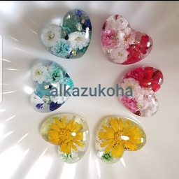 alkazukoha