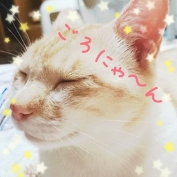 雪路
