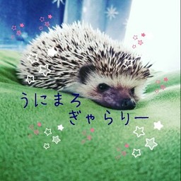 Unimaro.Sumeshi