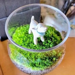 ぺろりさこ