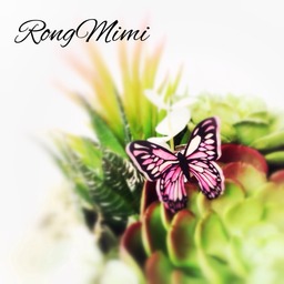 RongMimi