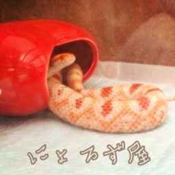 にょろず屋はるみん