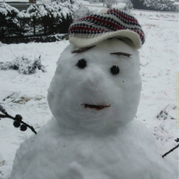 mirumake.