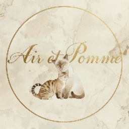Air et Pomme