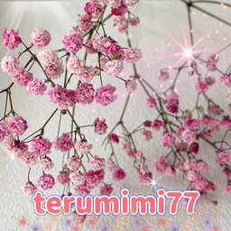 terumimi77