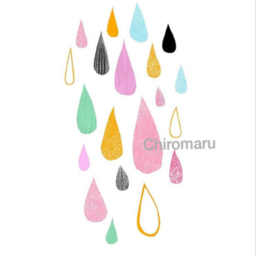 Chiro‐maru