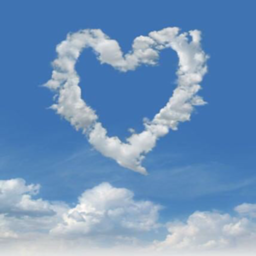 Petit amour